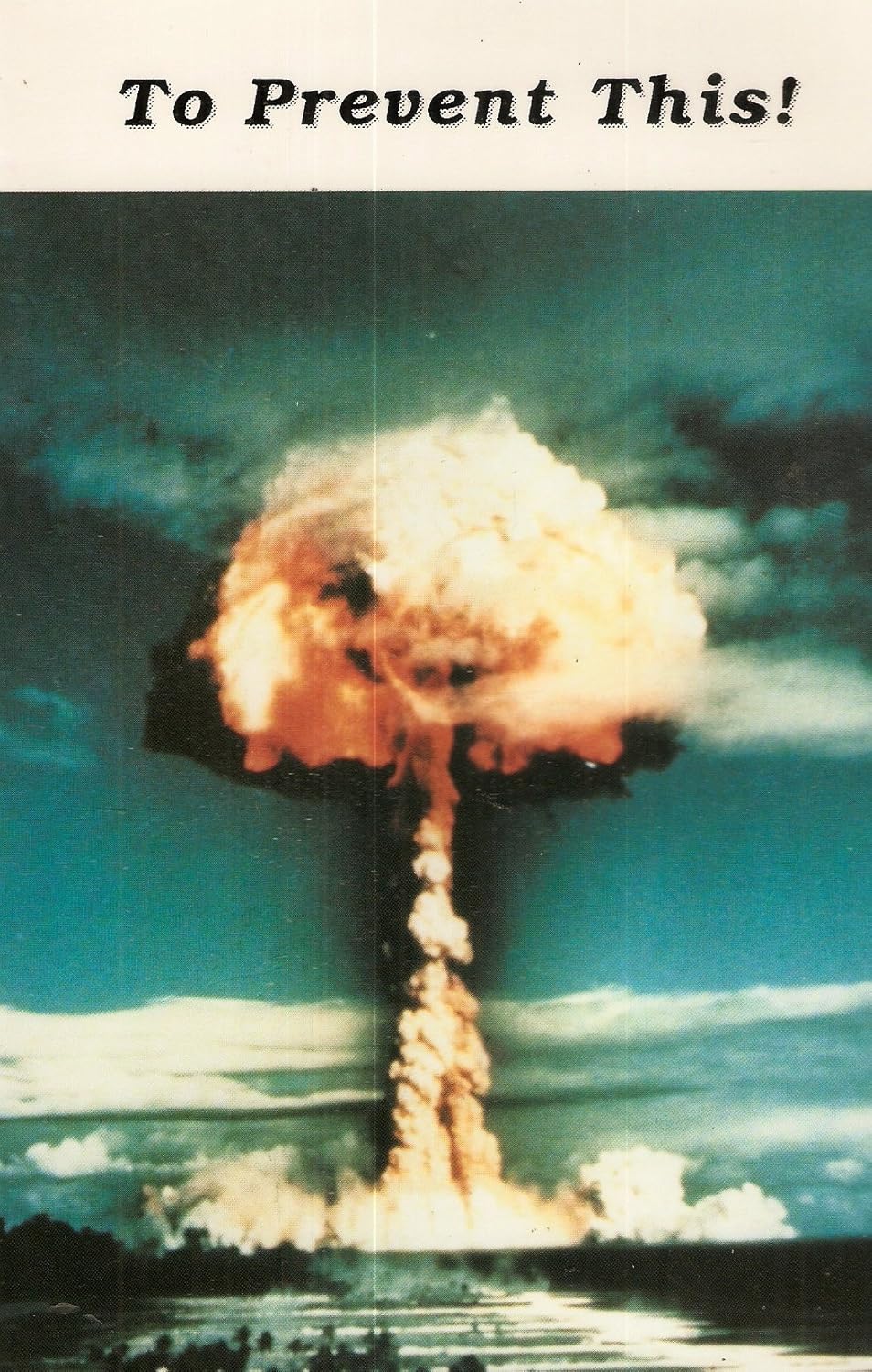 To Prevent This by Haffert, John M. published by One Hundred One Foundation Paperback
