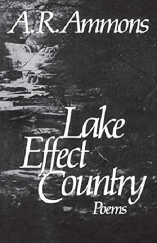 Lake Effect Country: Poems